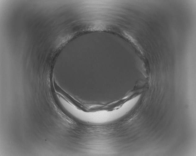 X0000066010681200603171506