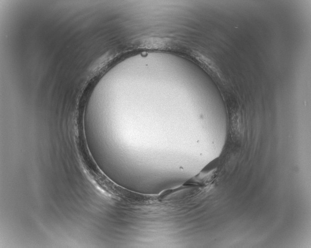 X0000066010682200603171506