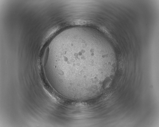 X0000066010683200603171506