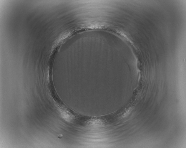 X0000066010685200603171506