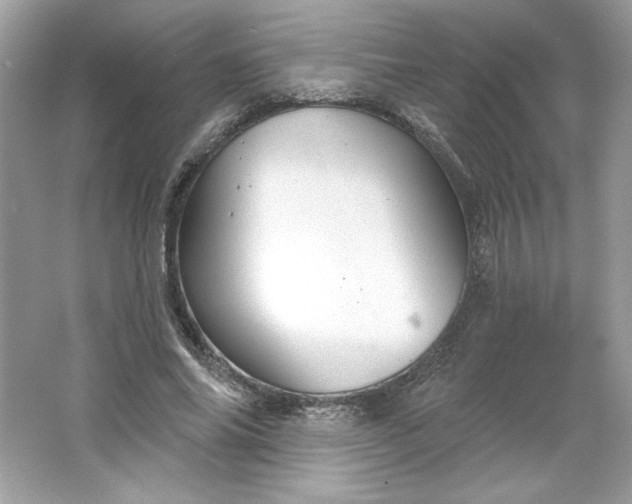 X0000066010686200603171506