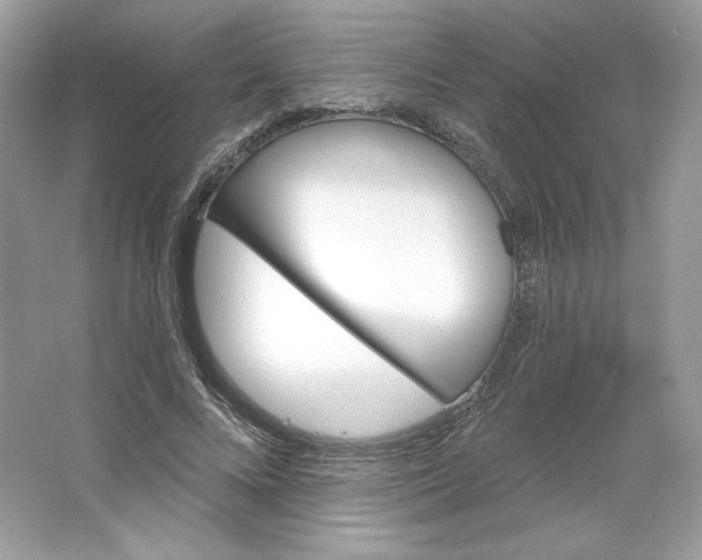 X0000066010688200603171506