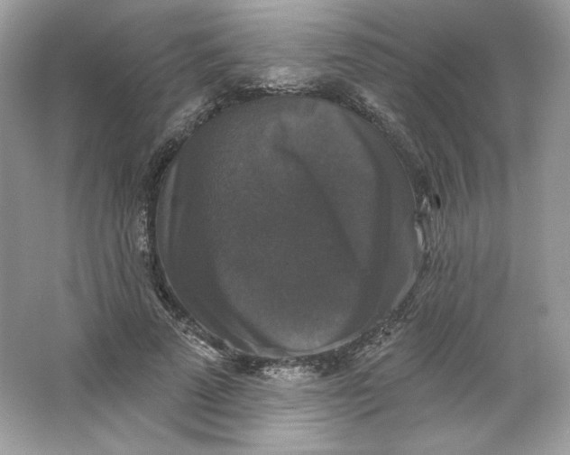 X0000066010689200603171506