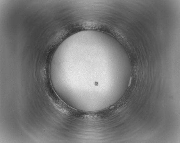 X0000066010690200603171506