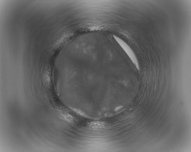 X0000066010691200603171506