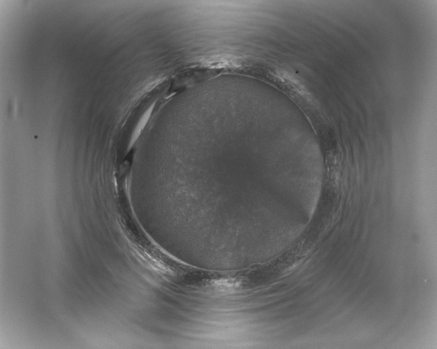 X0000066010692200603171506