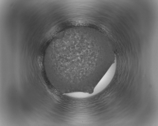 X0000066010695200603171506