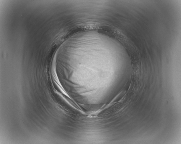 X0000066010696200603171506