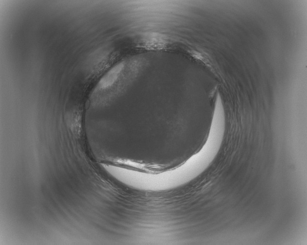 X0000066010697200603171506