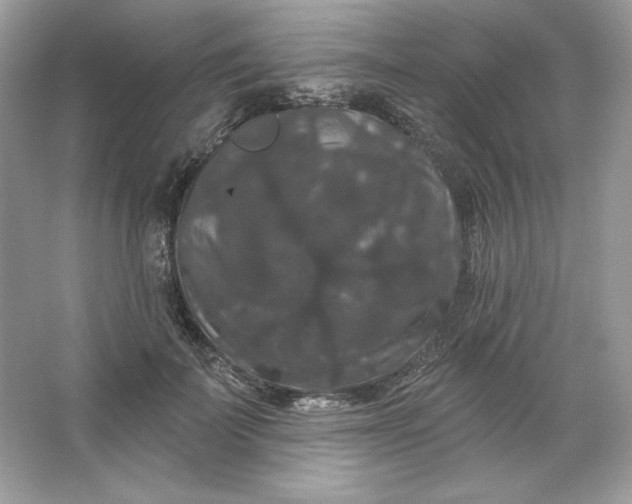 X0000066010699200603171506