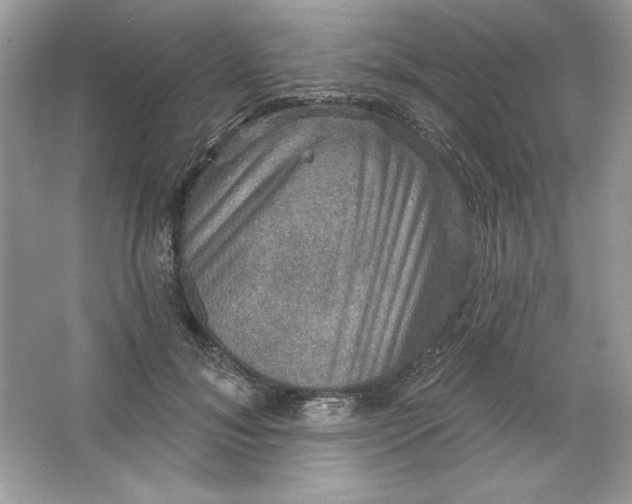 X0000066010700200603171506