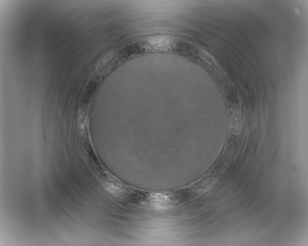 X0000066010701200603171506