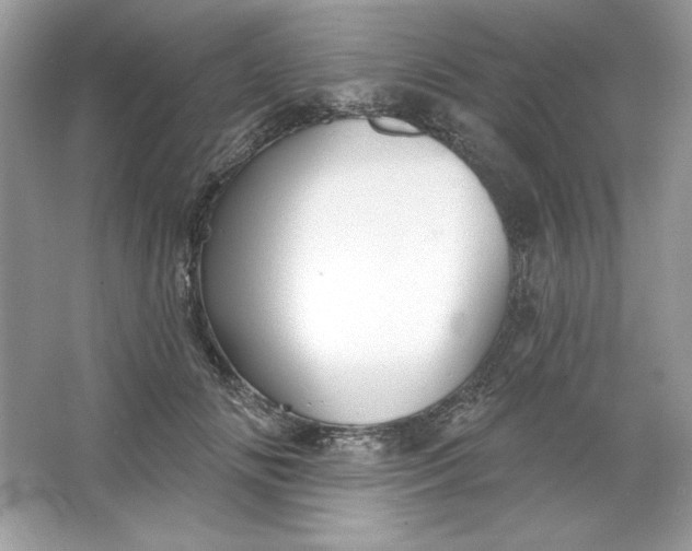 X0000066010702200603171506