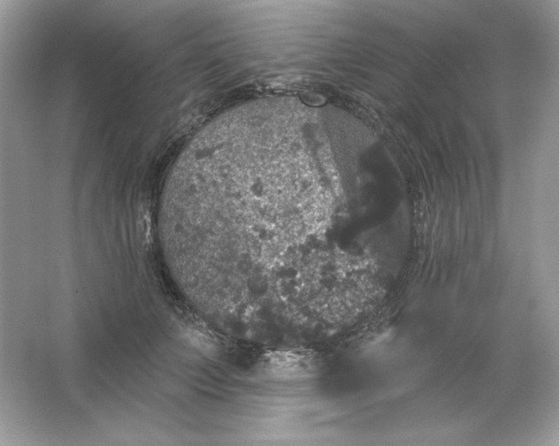 X0000066010703200603171506