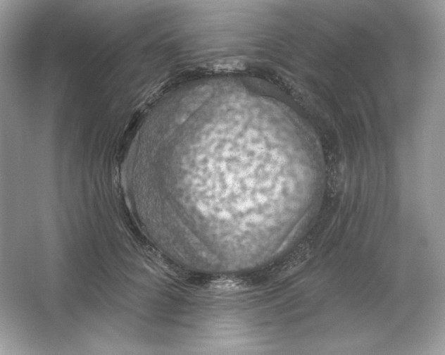 X0000066010704200603171506