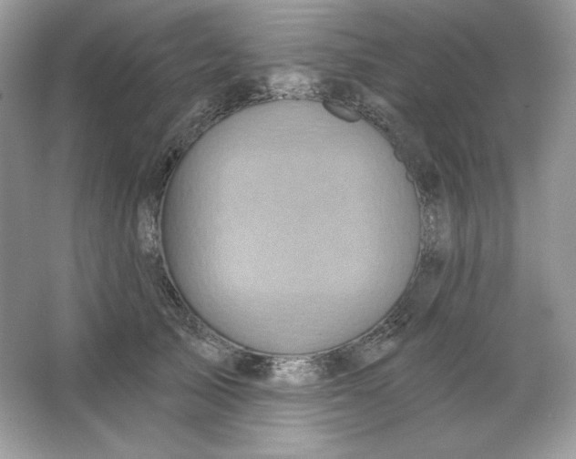 X0000066010705200603171506