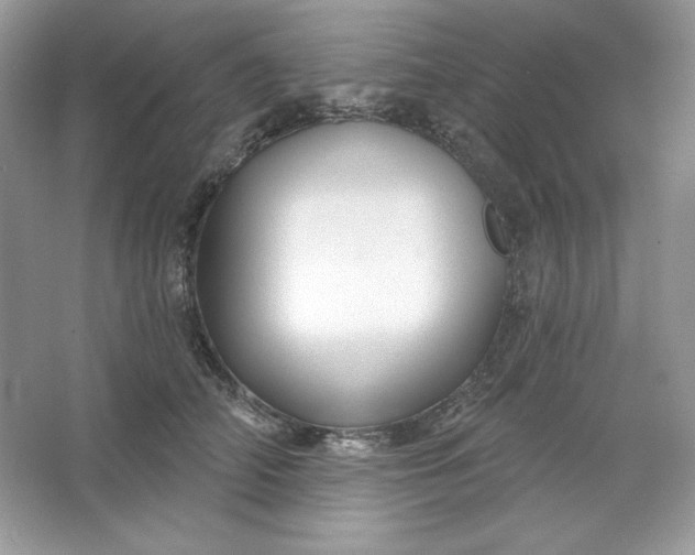 X0000066010706200603171506