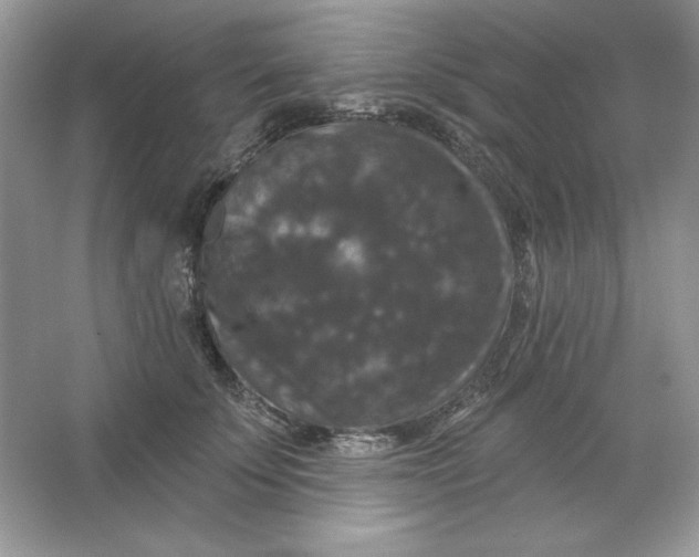 X0000066010707200603171506