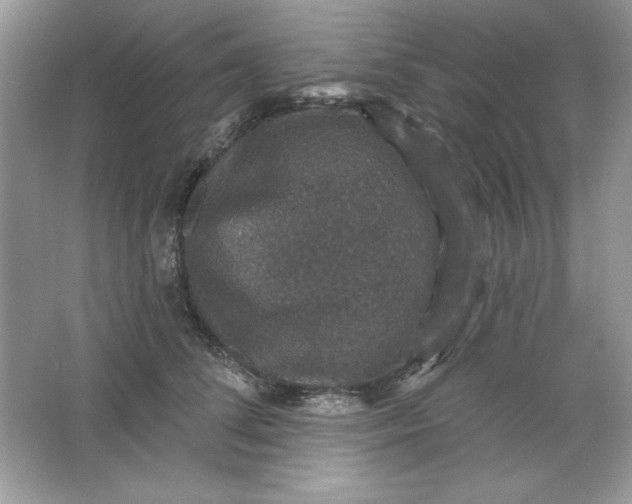 X0000066010708200603171506