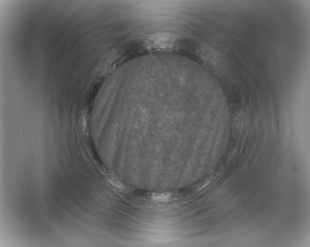 X0000066010709200603171506