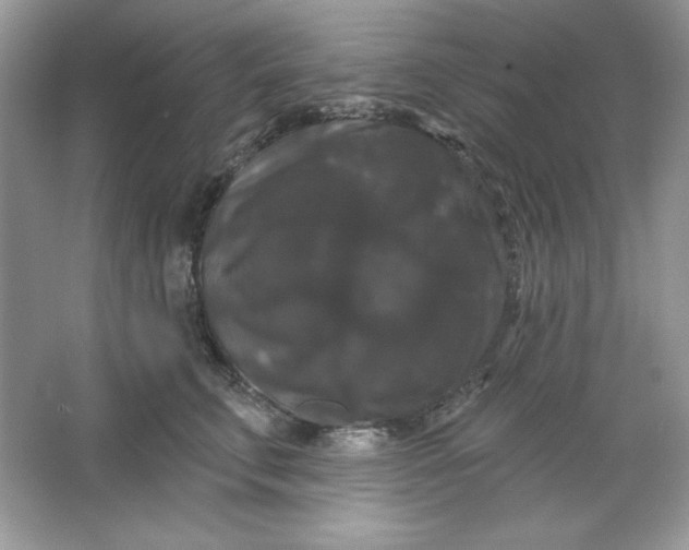 X0000066010711200603171506