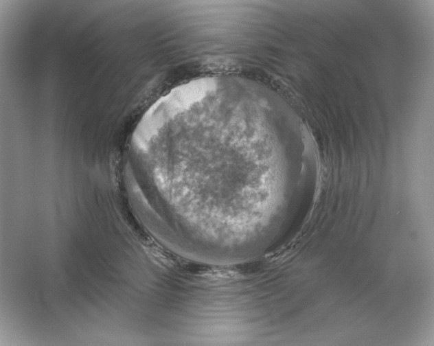 X0000066010712200603171506