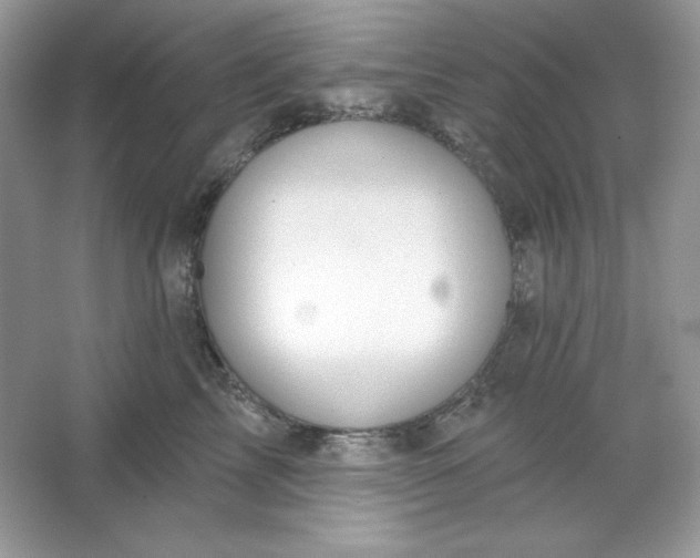 X0000066010713200603171506