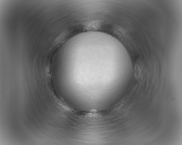 X0000066010714200603171506