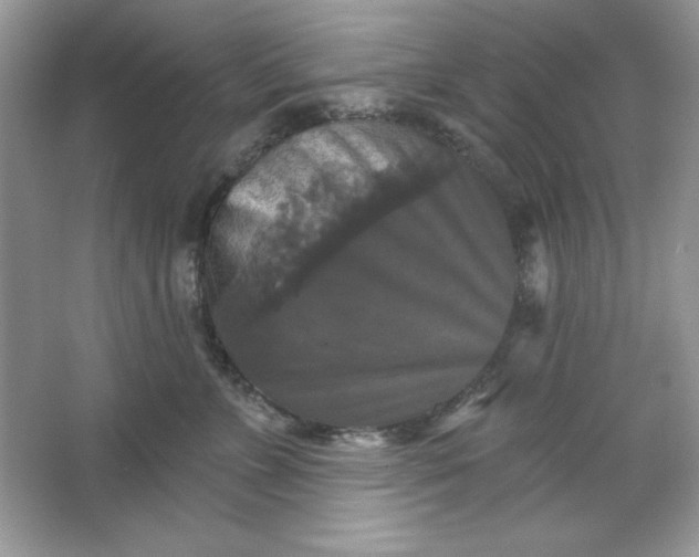 X0000066010715200603171506