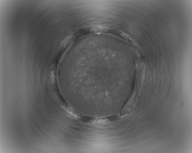 X0000066010716200603171506