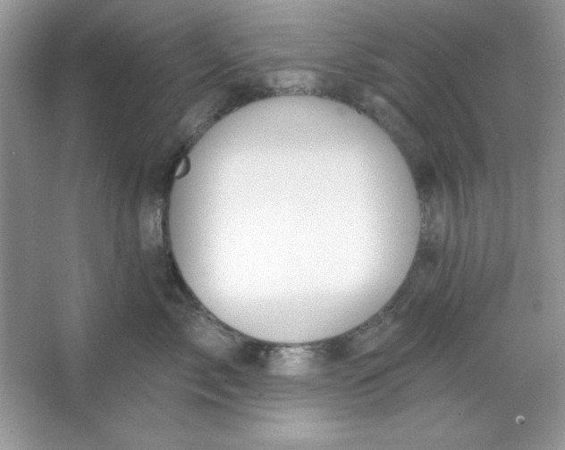 X0000066010717200603171506