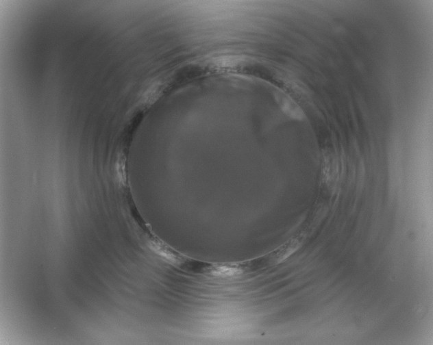 X0000066010718200603171506