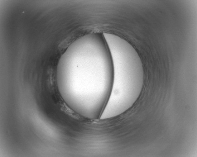 X0000066010720200603171506