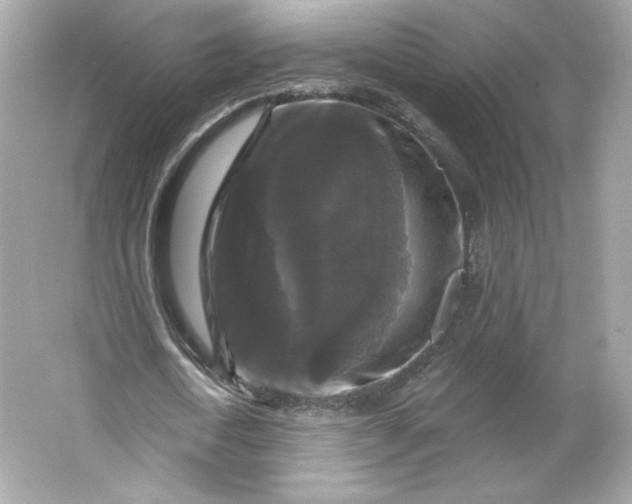 X0000066010722200603171505