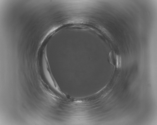 X0000066010723200603171505