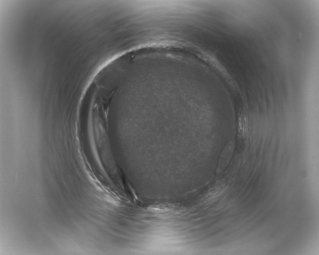 X0000066010724200603171505