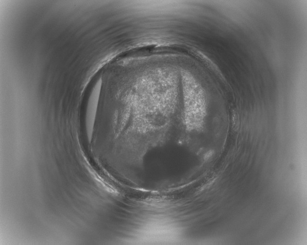 X0000066010725200603171505