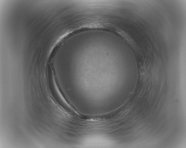 X0000066010727200603171505