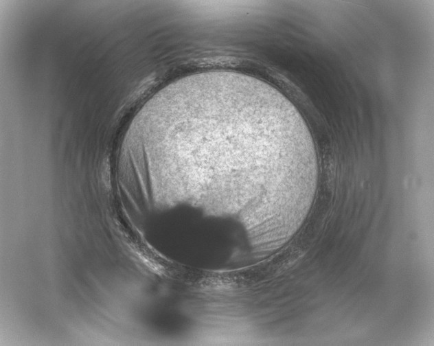 X0000066010729200603171505