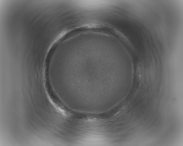 X0000066010730200603171505