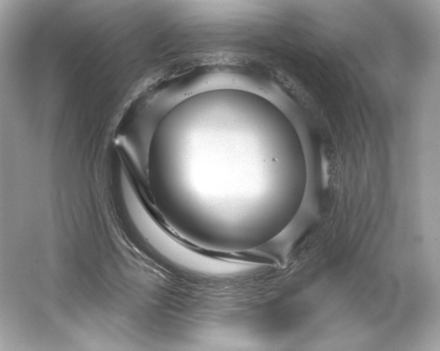 X0000066010731200603171505