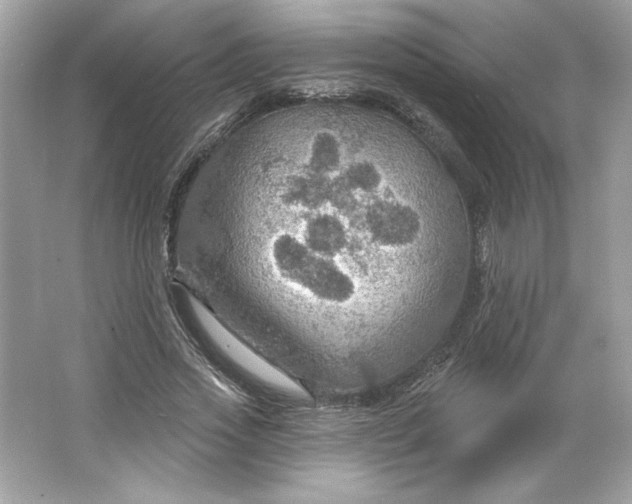 X0000066010733200603171505