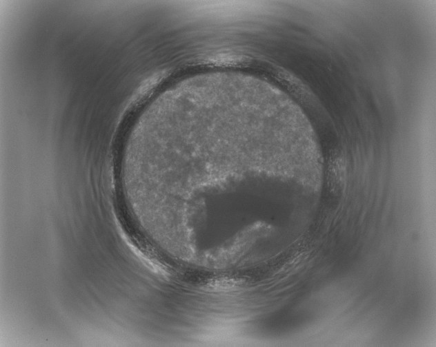 X0000066010734200603171505