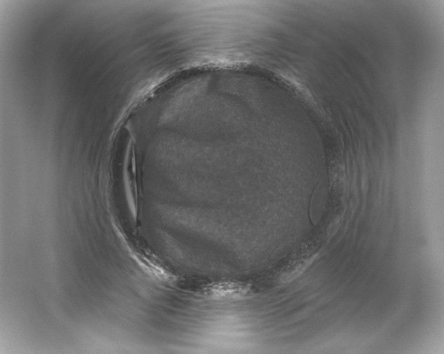 X0000066010736200603171505