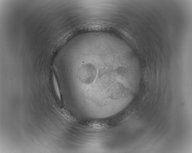 X0000066010737200603171505