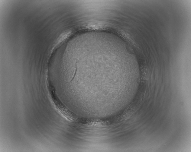 X0000066010738200603171505