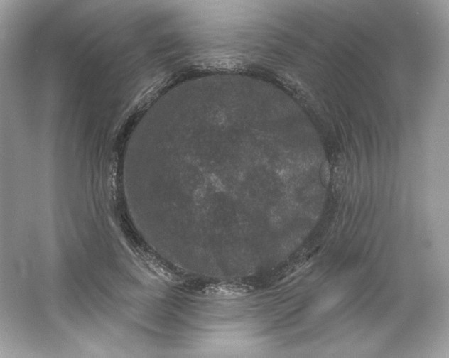 X0000066010739200603171505