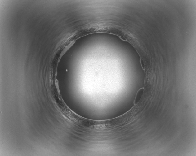 X0000066010740200603171505