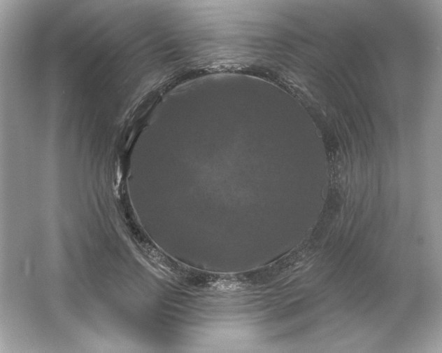 X0000066010742200603171505