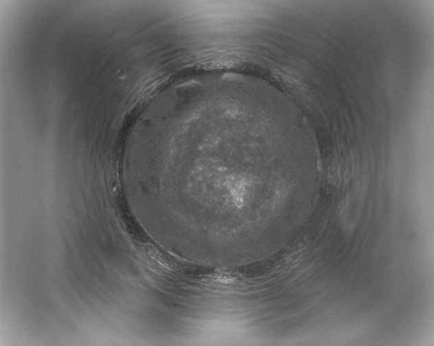 X0000066010743200603171505